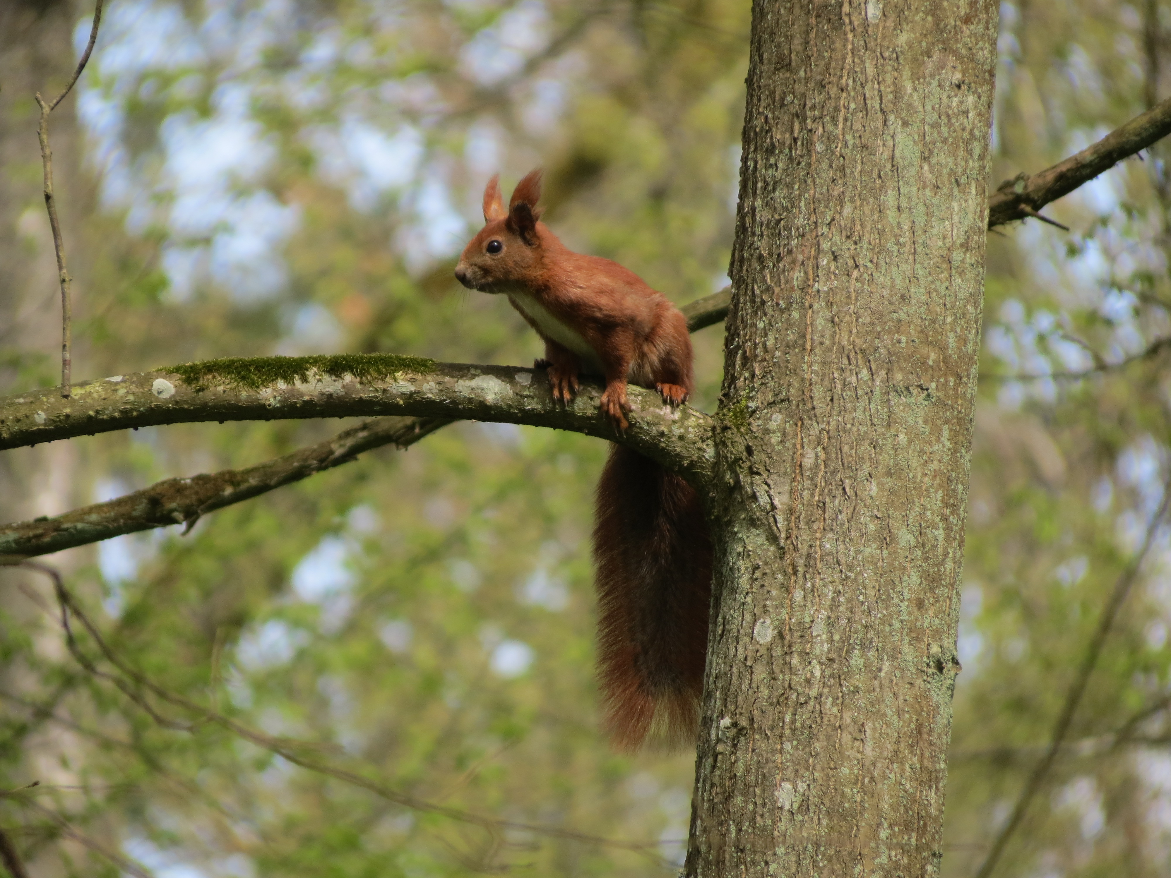 Image: Richard Broughton BB CY-NC-ND license